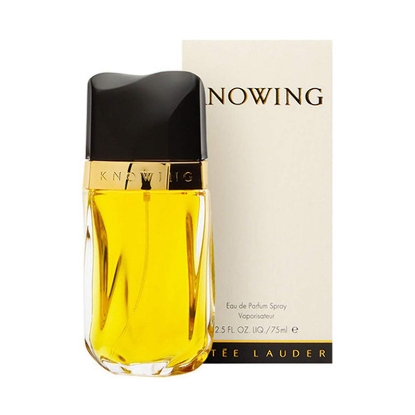 استي لودر عطر نوينج 75 مل